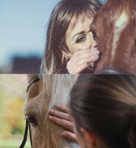 Innige Verbindung zwischen Mensch und Pferd – emotionale Momentaufnahme der Reitakademie Stolz.